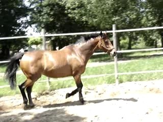 Issmy rond de longe le 22.05.07