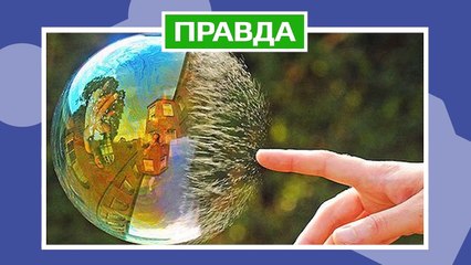 ФОТО НАСТОЯЩЕЕ или ФЕЙК 4