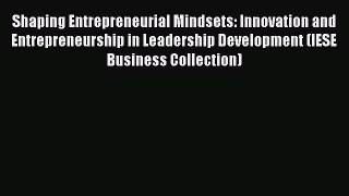 [PDF Download] Shaping Entrepreneurial Mindsets: Innovation and Entrepreneurship in Leadership