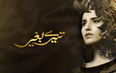 Tere Baghair Episode 14 Full HUM TV Drama 20 Jan 2015