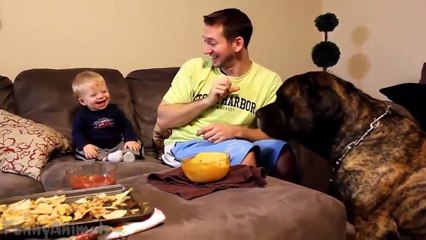 Babies Laughing Hysterically at Dogs Compilation 2015 [NEW HD]