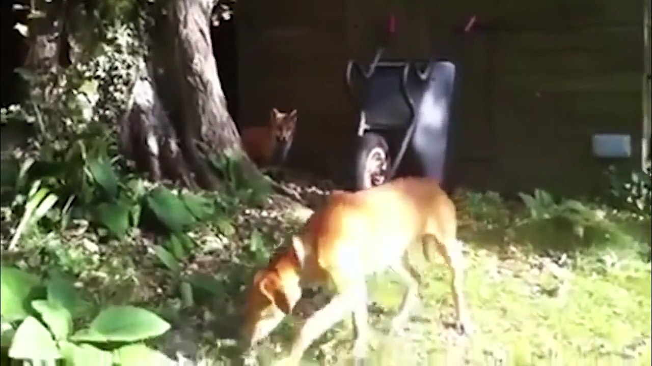Best Fails of September - Funny Fail Compilation