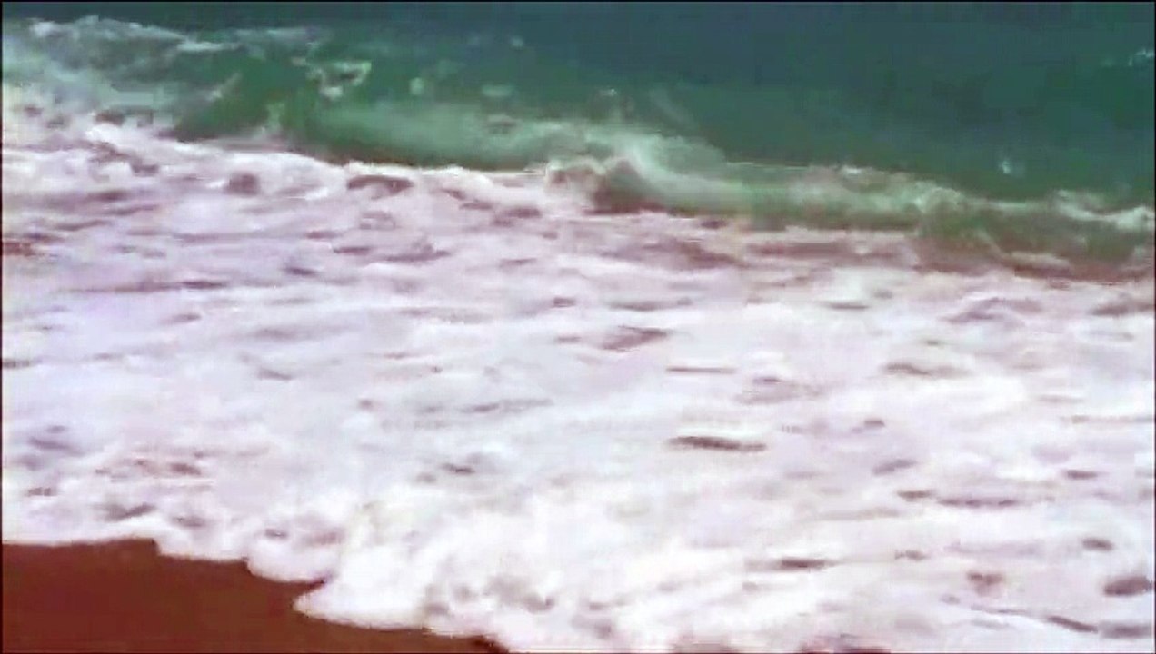 h@ns - terug naar de kust / maggie macneal