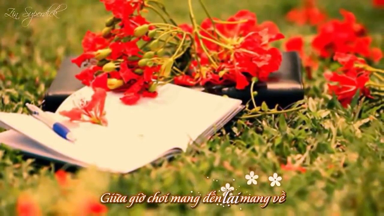 PHƯỢNG HỒNG - Bằng Kiều (Video Lyric Karaoke chất lừ)