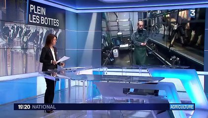 Producteurs de lait : les raisons de la colère