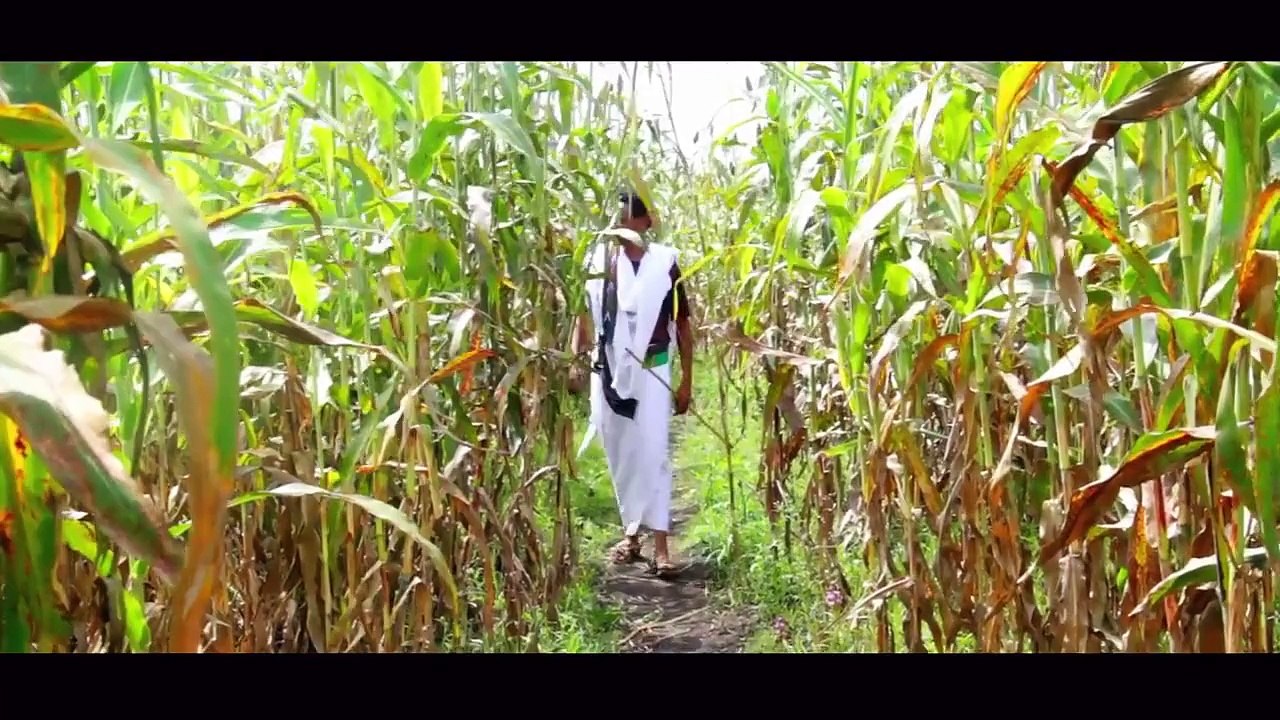 New Traditional Tigrigna Music 2015 Halefom Barentu # RAYA RAYUMA#