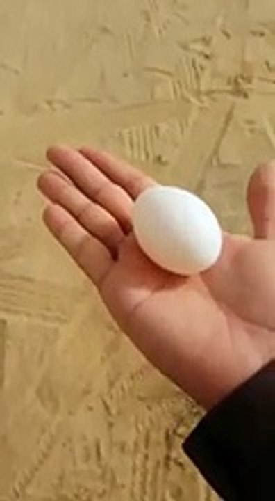 Çölde Su Nasıl Bulunur Yok Böyle Bir Şey