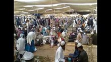 ثمار جهد اهل الدعوة والتبليغ .احوال الفلبين ....