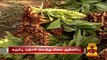 Sugarcane, Turmeric Price Increased ahead Of Pongal Festival in Koyembedu Market - Thanthi TV