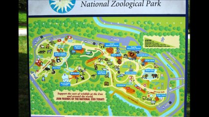 Top 10 things to do in Washington DC