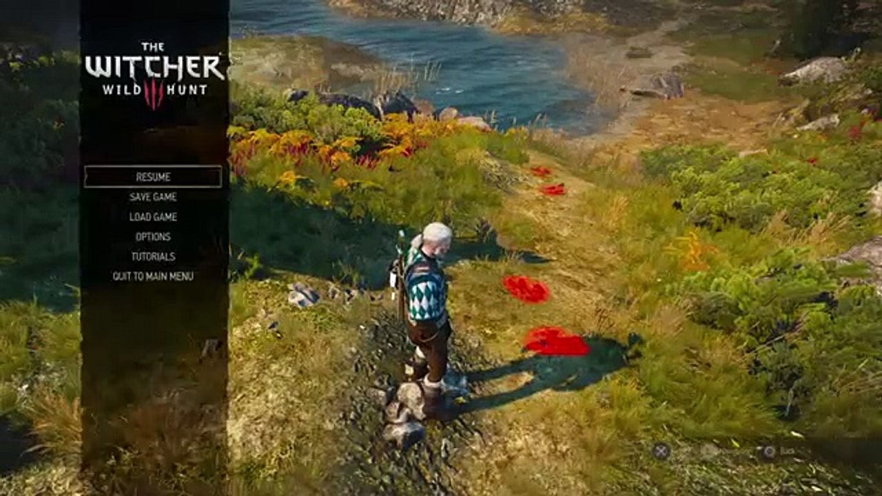 The Witcher 3 Wild Hunt - Boss Battle