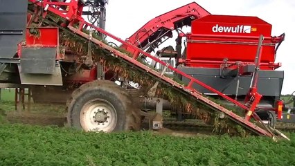 Dewulf GBI 1 rijige getrokken klembandrooier met bunker Trekkerweb