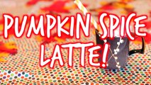 ♡DIY STARBUCKS DRINKS♡ FALL EDITION♡ PUMPKIN SPICE LATTE/FRAPPUCCINO & SALTED CARAMEL MOCH