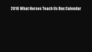 [PDF Download] 2016 What Horses Teach Us Box Calendar [PDF] Full Ebook