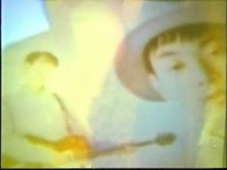 Slide-the flipper's guitar