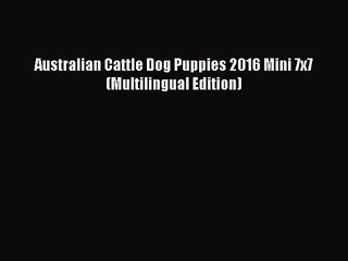 PDF Download - Australian Cattle Dog Puppies 2016 Mini 7x7 (Multilingual Edition) Read Online