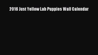 [PDF Download] 2016 Just Yellow Lab Puppies Wall Calendar [PDF] Full Ebook