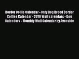 [PDF Download] Border Collie Calendar - Only Dog Breed Border Collies Calendar - 2016 Wall