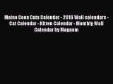 PDF Download - Maine Coon Cats Calendar - 2016 Wall calendars - Cat Calendar - Kitten Calendar