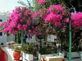 TEKNO @ SUPER PARADISE OFFICIAL VIDEO SUMMER PARTY mykonos greece agean greekislands crazy