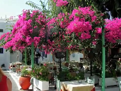 TEKNO @ SUPER PARADISE OFFICIAL VIDEO SUMMER PARTY mykonos greece agean greekislands crazy