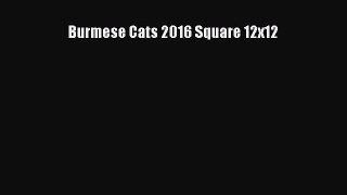 PDF Download - Burmese Cats 2016 Square 12x12 Read Full Ebook
