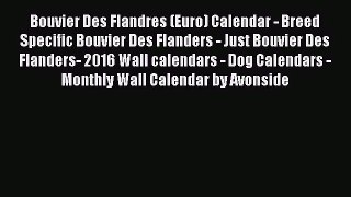 PDF Download - Bouvier Des Flandres (Euro) Calendar - Breed Specific Bouvier Des Flanders -