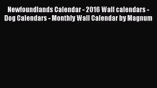 PDF Download - Newfoundlands Calendar - 2016 Wall calendars - Dog Calendars - Monthly Wall