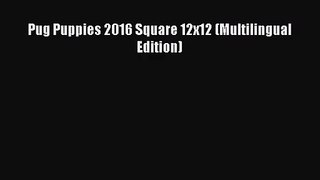 PDF Download - Pug Puppies 2016 Square 12x12 (Multilingual Edition) Download Online