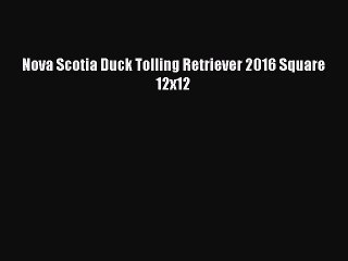 [PDF Download] Nova Scotia Duck Tolling Retriever 2016 Square 12x12 [Read] Full Ebook