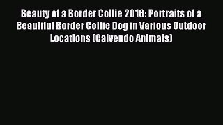 [PDF Download] Beauty of a Border Collie 2016: Portraits of a Beautiful Border Collie Dog in