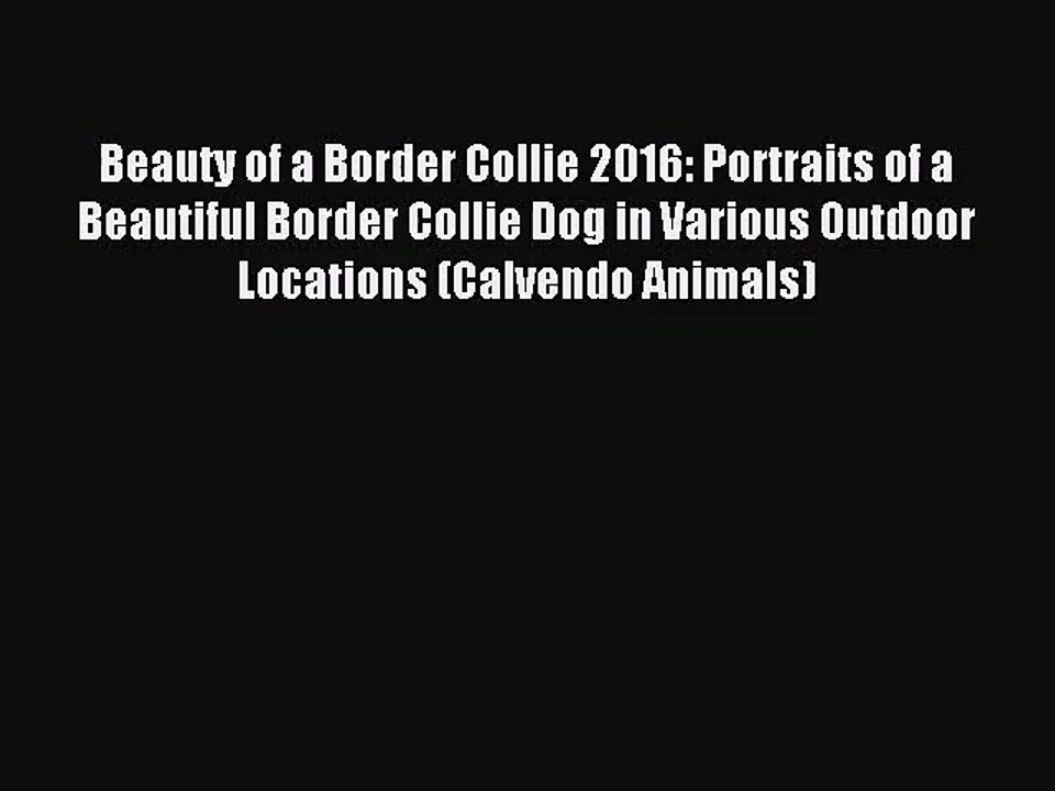[PDF Download] Beauty of a Border Collie 2016: Portraits of a Beautiful Border Collie Dog in