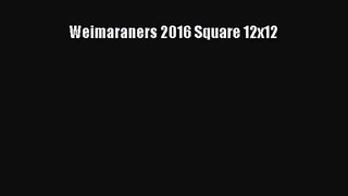 [PDF Download] Weimaraners 2016 Square 12x12 [Download] Full Ebook
