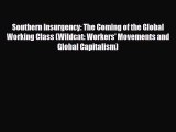 [PDF Download] Southern Insurgency: The Coming of the Global Working Class (Wildcat: Workers'