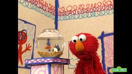 Sesame Street: Elmo\'s World: Penguins