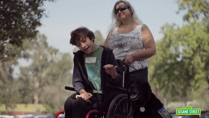 Sesame Street: I Am Important (Count Me In)