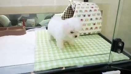 부산 출장안마&부산 출장안마【OlO-2165-2776】최저가 부산 출장마사지해피데이