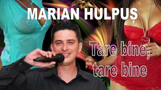 Bautura, Bani si Femei - Colaj Marian Hulpus - Remade 2015