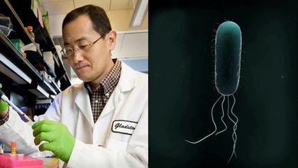 What Was the Most Important Story of 2015? CRISPR/Cas9