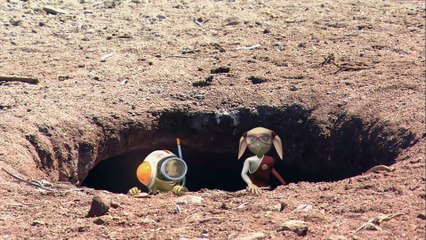 PENGUINS_ Animals for children. Kids videos. Kindergarten _   _ Every New