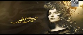 Tere Baghair Episode 15 Promo HUM TV Drama 20 Jan 2015