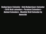 PDF Download - Budgerigars Calendar - Only Budgerigars Calendar - 2016 Wall calendars - Parakeet