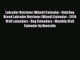 PDF Download - Labrador Retriever (Mixed) Calendar - Only Dog Breed Labrador Retriever (Mixed)