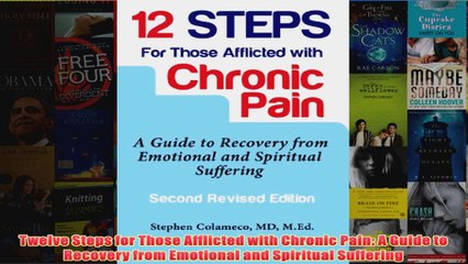 Download PDF  Twelve Steps for Those Afflicted with Chronic Pain A Guide to Recovery from Emotional and FULL FREE