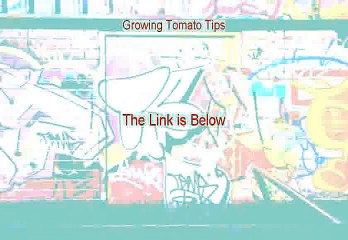 Growing Tomato Tips Review - Free