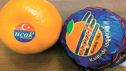 Rusya İle İkinci Uçak Krizi