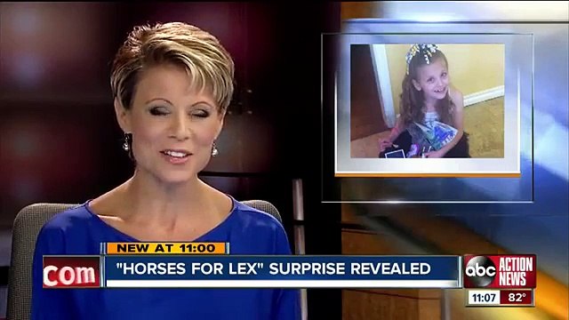 Horses for Lex 7-year-old girl with cerebral palsy gets a big surprise