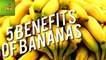 Benefits of Bananas | Care TV