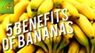 Benefits of Bananas | Care TV