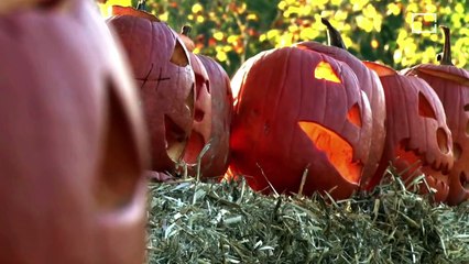 The Origin of Halloween Traditions